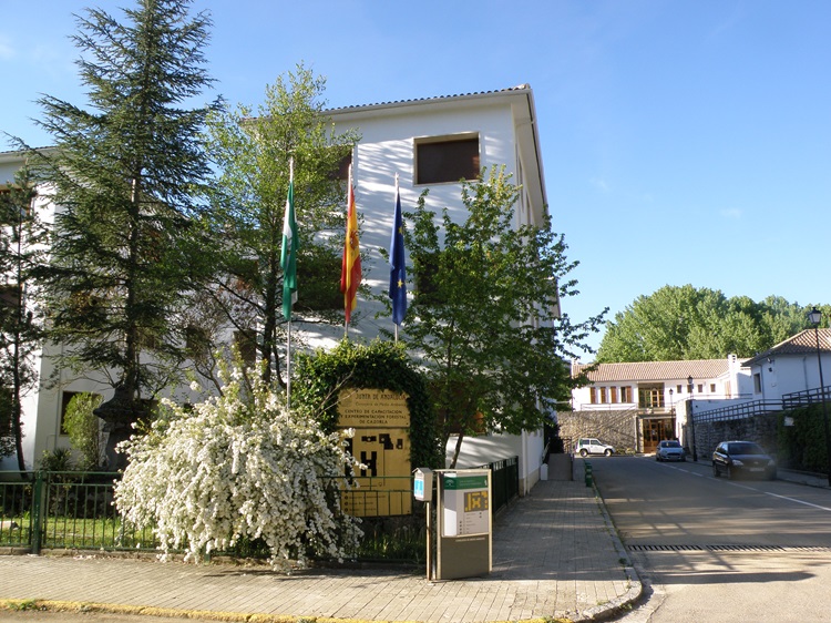 Programa de formación del Centro de Capacitación y Experimentación Forestal de Cazorla (Centro Vadillo-Castril)