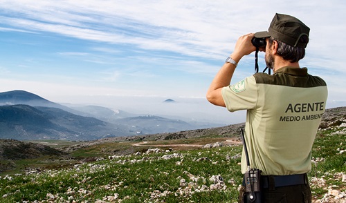 Agente de Medio Ambiente observando el monte con prismáticos