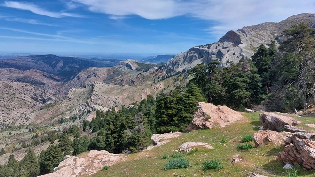 Espacio Natural de la Sierra de las Nieves