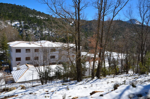 Acciones Formativas del Centro de Capacitación y Experimentación Forestal de Cazorla. Cursos otoño 2024