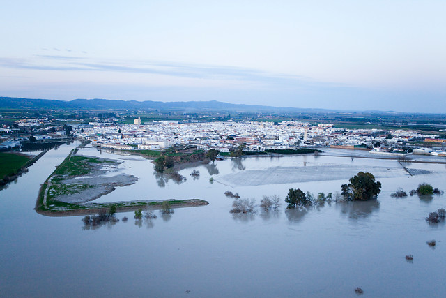 Comisión de Seguimiento del Plan de Prevención de avenidas e inundaciones en cauces urbanos andaluces