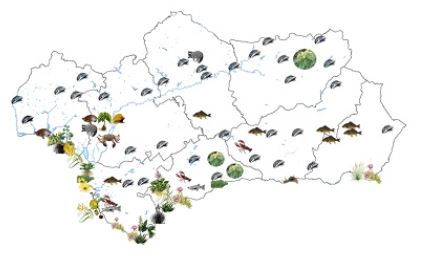 Localización de las actuaciones de control frente a especies exóticas invasoras en Andalucía