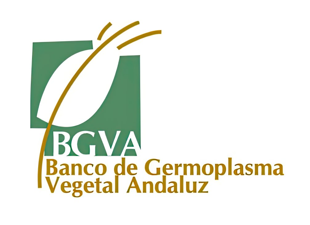 Banco de Germoplasma Vegetal Andaluz (BGVA)