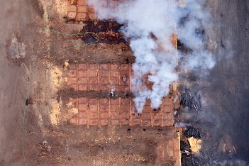 Seguridad y salud en obras forestales