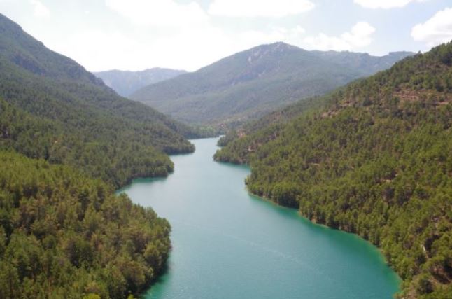 Masas de agua superficiales de la DH Segura