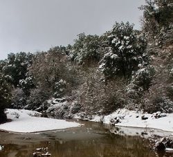 Parque Nacional de la Sierra de las Nieves