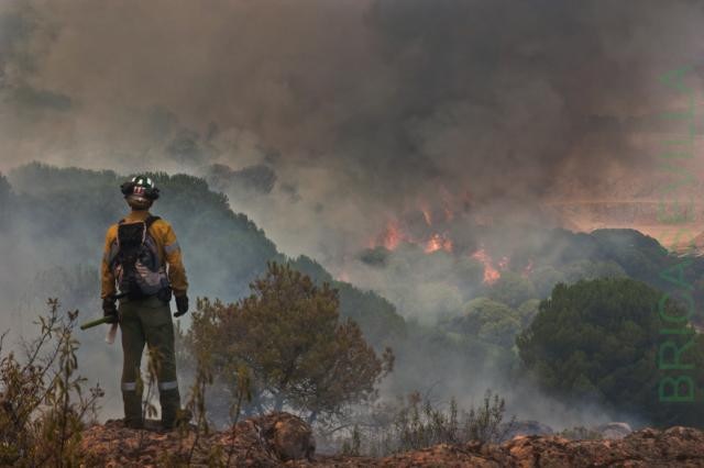 Vídeos de extinción de incendios forestales