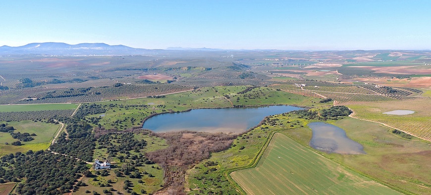 El Comité Andaluz de Humedales