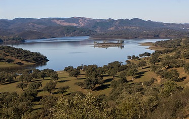 Calidad de las aguas superficiales continentales