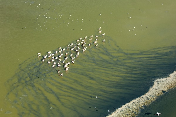 Espacio Natural de Doñana