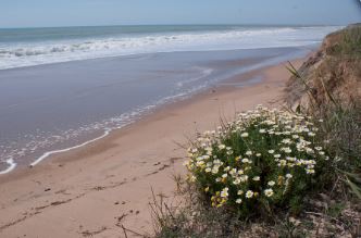 Actividades en el Parque Natural de Bahía de Cádiz