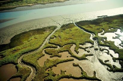 Actividades en el Paraje Natural Marismas del Odiel