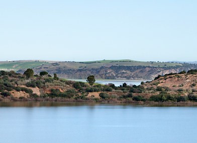 Reserva Natural Laguna de Medina