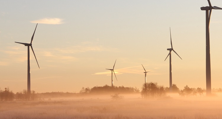 Ahorro energético