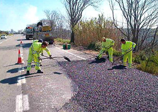 Operarios realizan tareas de asfaltado en una carretera.