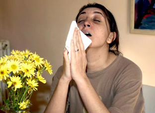 El moqueo y los estornudos son algunos de los síntomas más frecuentes de las alergias. (Foto EFE)