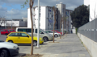 El taller 'Una vida verde' ha permitido la plantación de árboles en espacios públicos de la barriada San Martín de Porres.