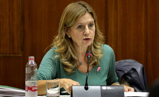 La consejera de Salud, Marina Álvarez, en la comisión parlamentaria.