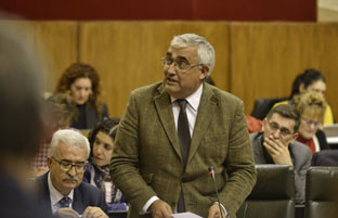 El consejero Antonio Ramírez de Arellano en la sesión plenaria del Parlamento.