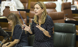Marina Álvarez anunció en el Parlamento que Salud mantendrá como \u0027Comisión Permanente de Expertos\u0027 el grupo de trabajo creado para mejorar las lista de espera en Andalucía.