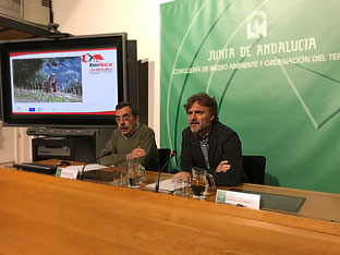 El consejero José Fiscal durante la presentación del censo de lince ibérico en Andalucía.