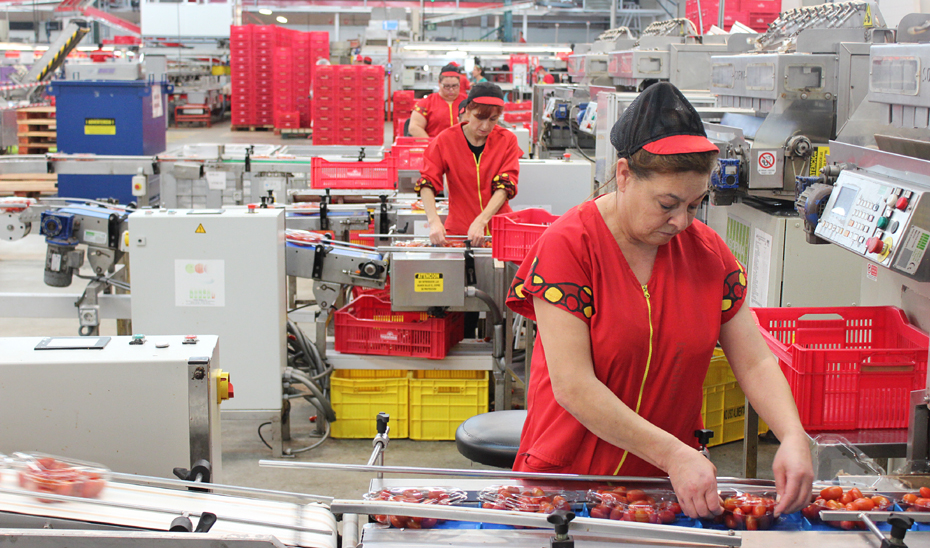 La creación de empleo femenino en Andalucía es similar a la registrada en países como Bélgica o Países Bajos.