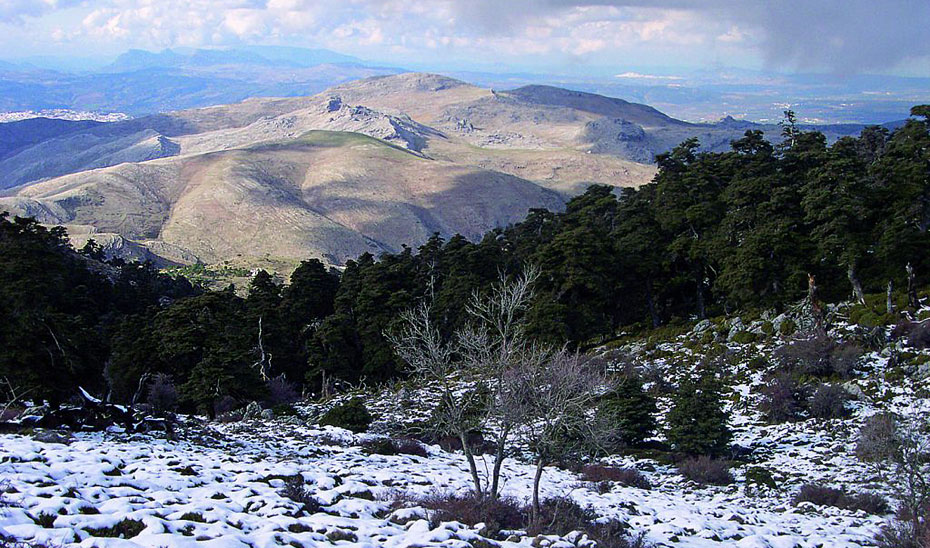 Vista de la Sierra de las Nieves, en invierno.