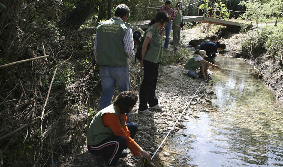 1.053 voluntarios ambientales de 183 asociaciones y entidades sociales de toda Andalucía han realizado este año un seguimiento a 180 tramos de 122 ríos y arroyos de la comunidad autónoma a través del programa \u0027Andarríos\u0027.