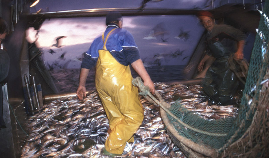 Un barco de pesca durante las labores de descarga del pescado apresado.