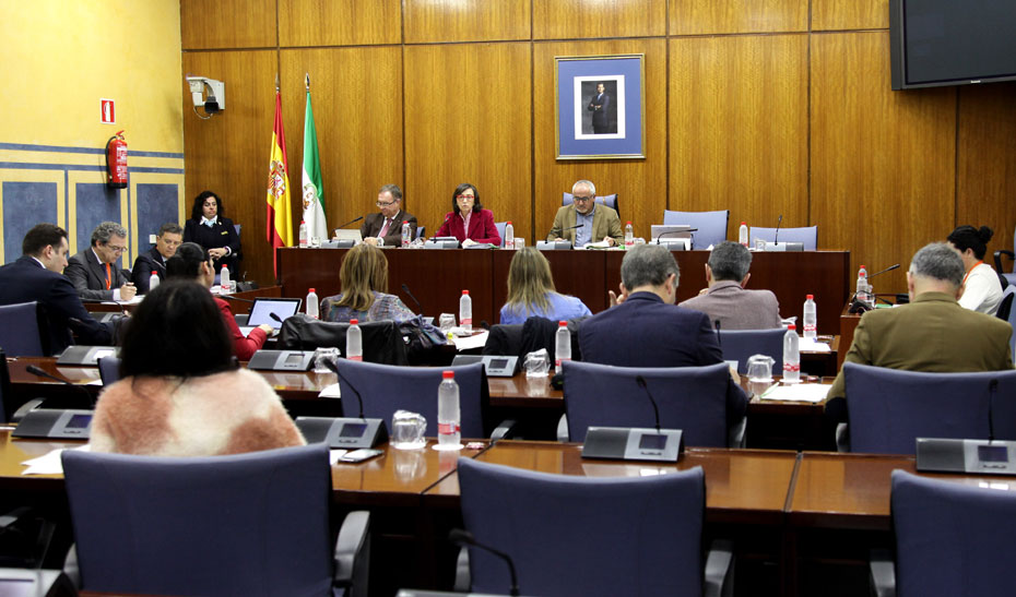 La consejera de Justicia e Interior, Rosa Aguilar, durante su comparecencia en Comisión Parlamentaria.