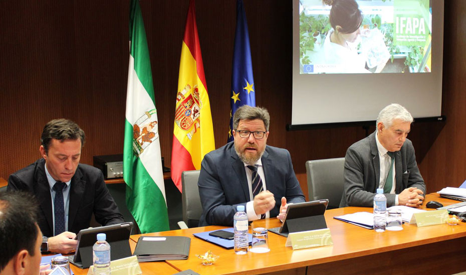 Sánchez Haro presidió en Sevilla la reunión anual del Consejo Social del Ifapa.