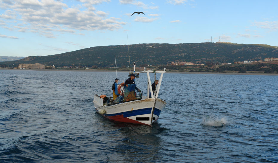 La Junta defiende que la limitación para 2018 ha de fijarse, al menos, en 210 días de pesca para cada una de las 92 embarcaciones de arrastre andaluzas que faenan en el Mediterráneo.