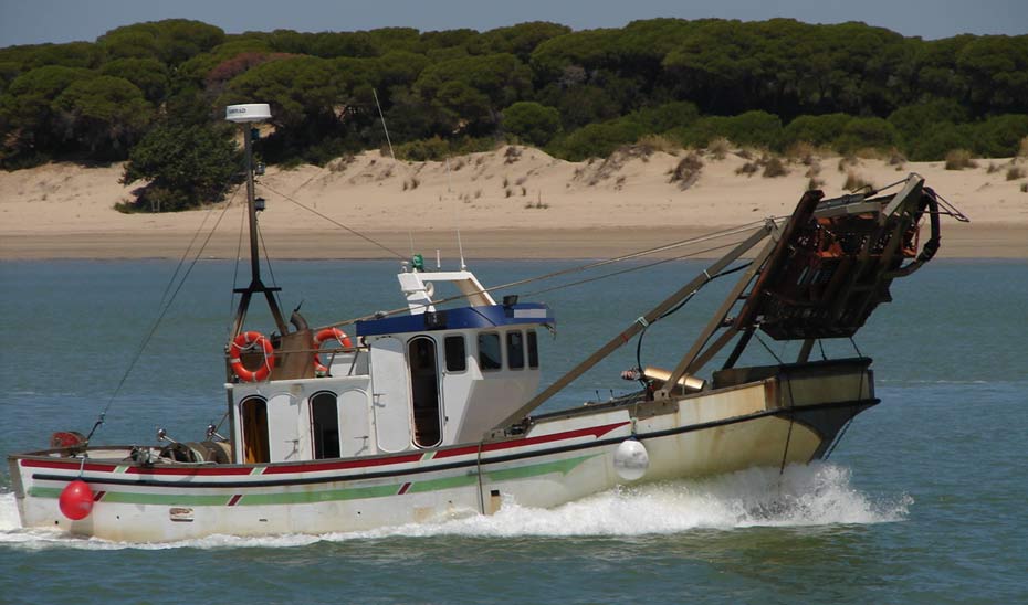 La flota de pesquería de la chirla la componen en Andalucía 96 embarcaciones y 291 tripulantes.