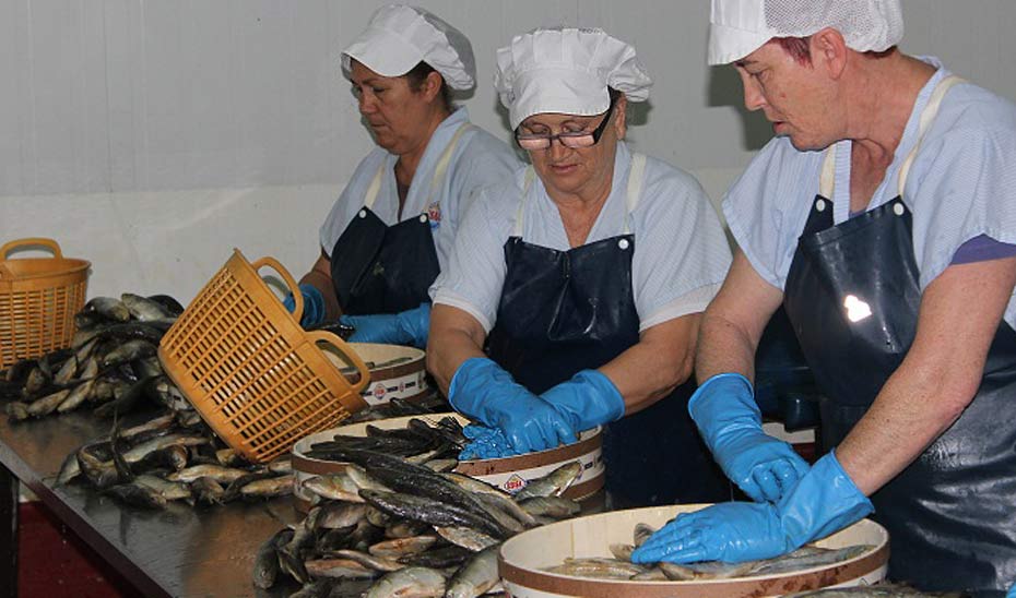 Mujeres trabajando en el sector de la transformación de productos de pesca y acuicultura.