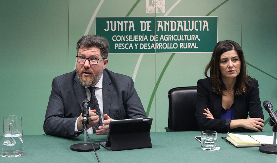 Rodrigo Sánchez Haro durante la comparecencia ante los medios junto a Concepción Cobo, secretaria general de Fondos Europeos Agrarios de la Junta.