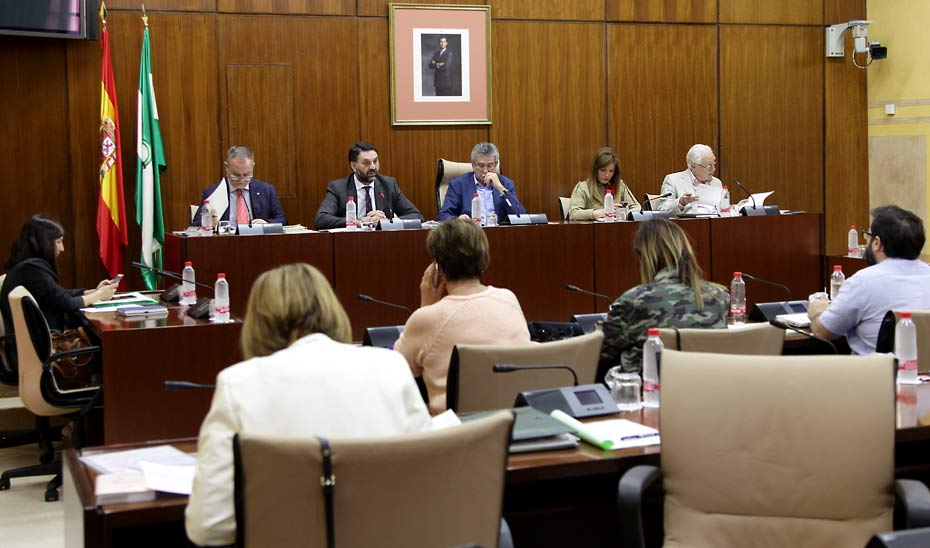 Francisco Javier Fernández durante su comparecencia ante la Comisión de Turismo del Parlamento andaluz.