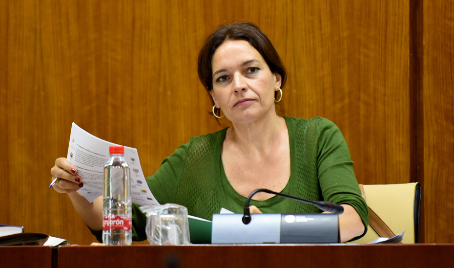 Lina Gálvez, consejera de Conocimiento, Investigación y Universidad, en su primera comparecencia en comisión parlamentaria.