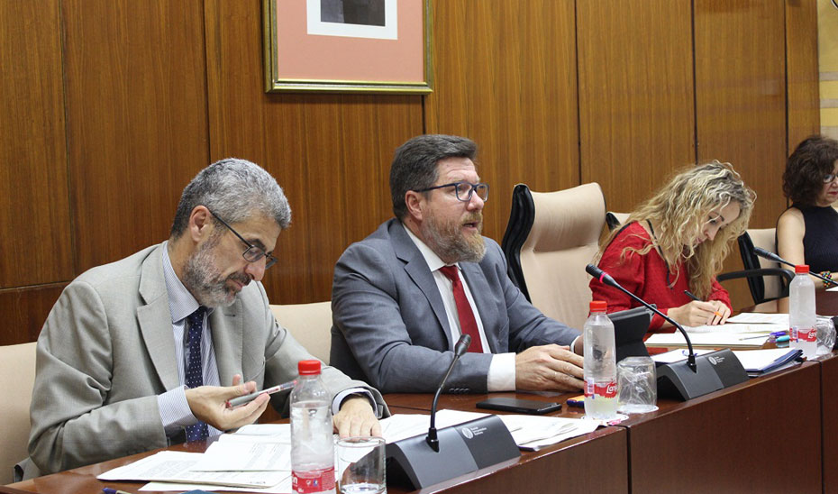 El consejero de Agricultura, Rodrigo Sánchez Haro, durante su intervención en Comisión parlamentaria.