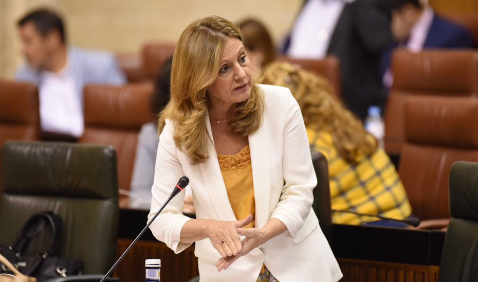 La consejera de Salud, Marina Álvarez, durante su intervención en el Parlamento.