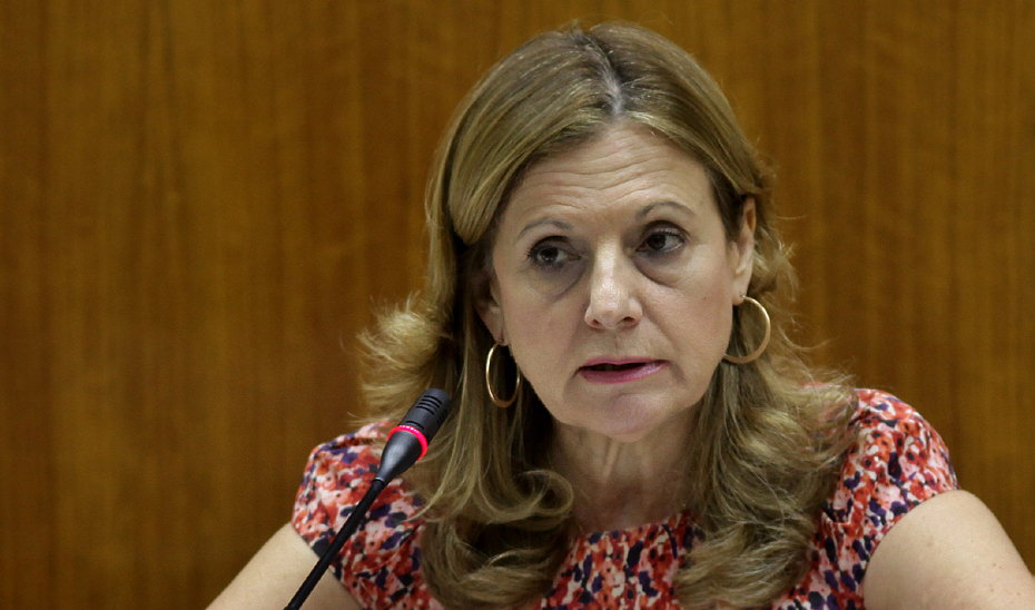 La consejera de Salud, Marina Álvarez, durante su intervención en Comisión Parlamentaria. 