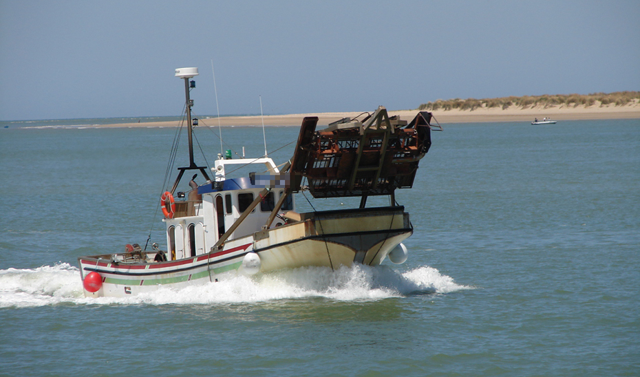 Barco pesquero de chirlas en aguas andaluzas.