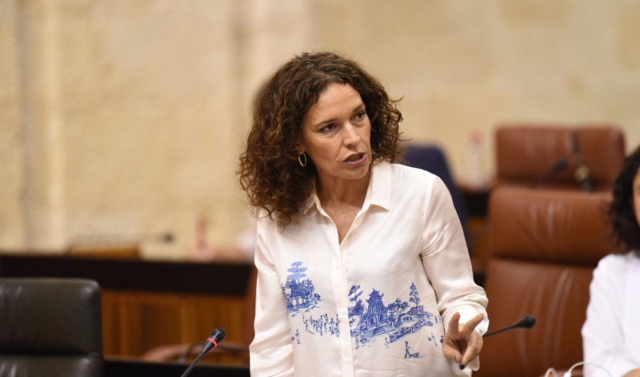 La consejera de Conocimiento, Investigación y Universidad, Lina Gálvez, durante su intervención en el Parlamento andaluz.