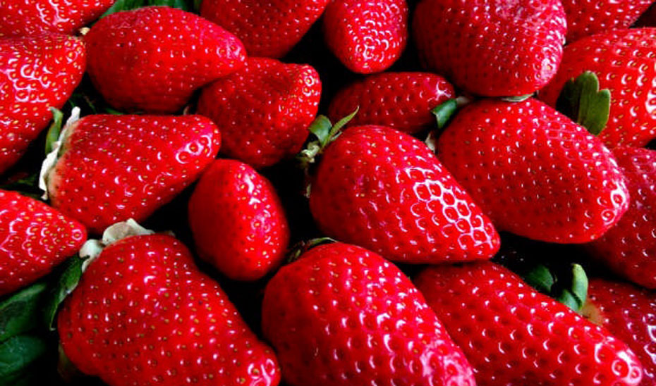 Imagen de unas fresas.