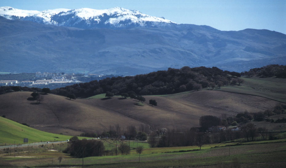 Imagen de la Sierra de las Nieves en Málaga.