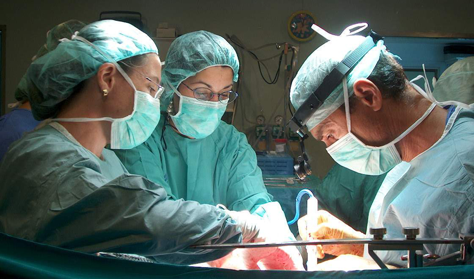 Los hospitales públicos andaluces realizaron en los primeros siete meses del año un total de 330 trasplantes de médula.