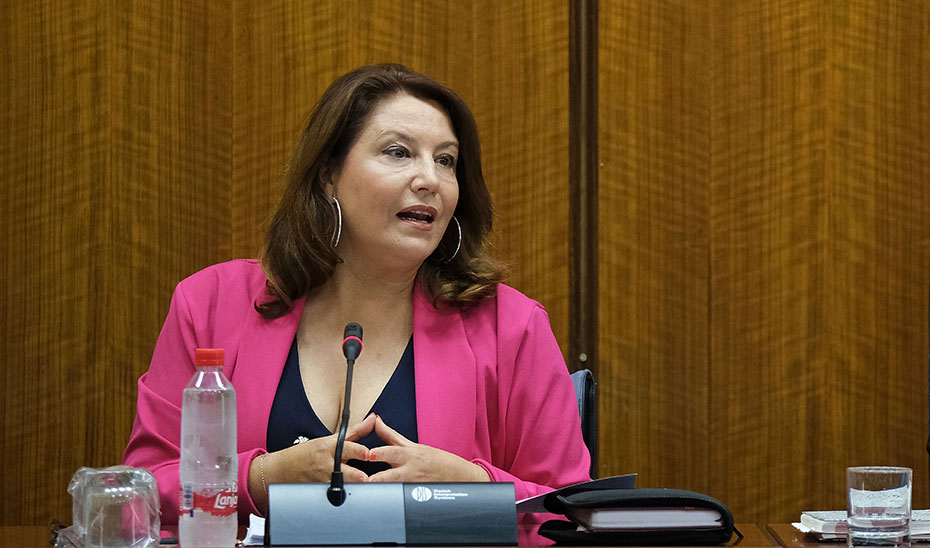 Carmen Crespo, durante la comisión parlamentaria.