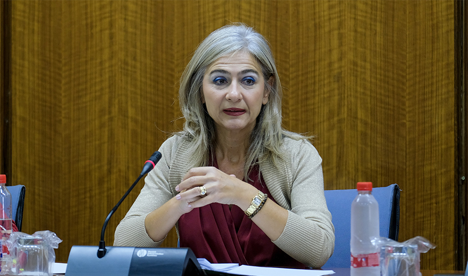 Del Pozo, durante la Comisión de Cultura del Parlamento de Andalucía