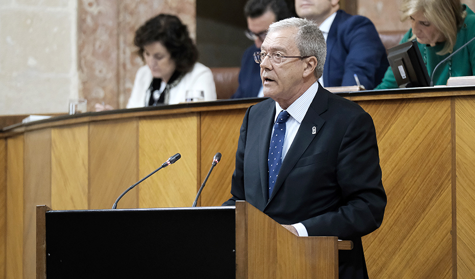El consejero Rogelio Velasco, durante su intervención en el pleno del Parlamento.