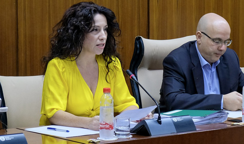 Rocío Ruiz, durante su comparecencia en la comisión parlamentaria de Igualdad, Políticas Sociales y Conciliación.