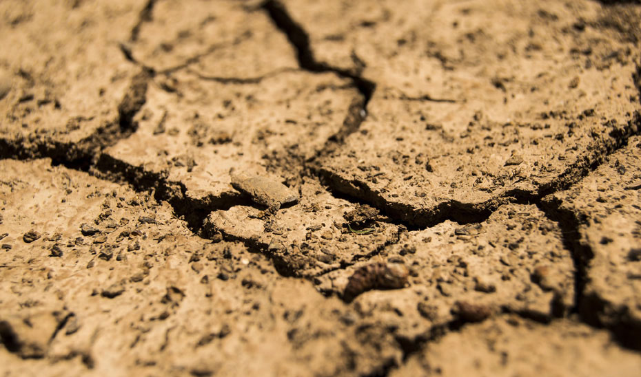 Efectos de la sequía prolongada en la tierra.